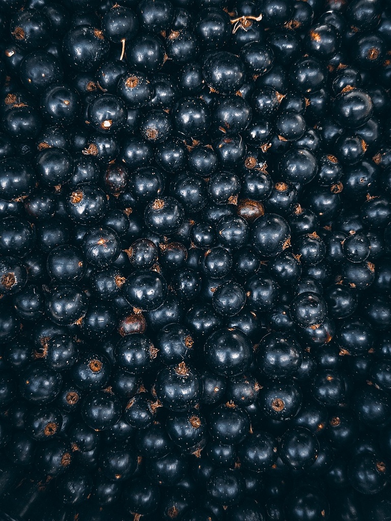 Arôme concentré : Cassis - 1ml