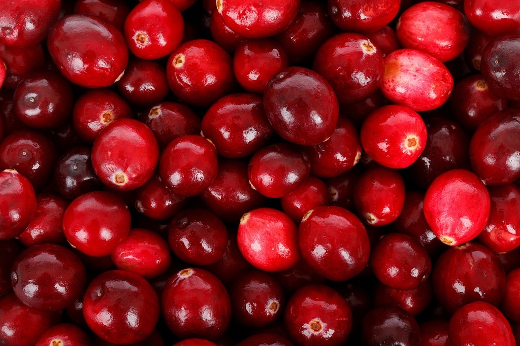Arôme concentré : Canneberge (Cranberry) - 1ml