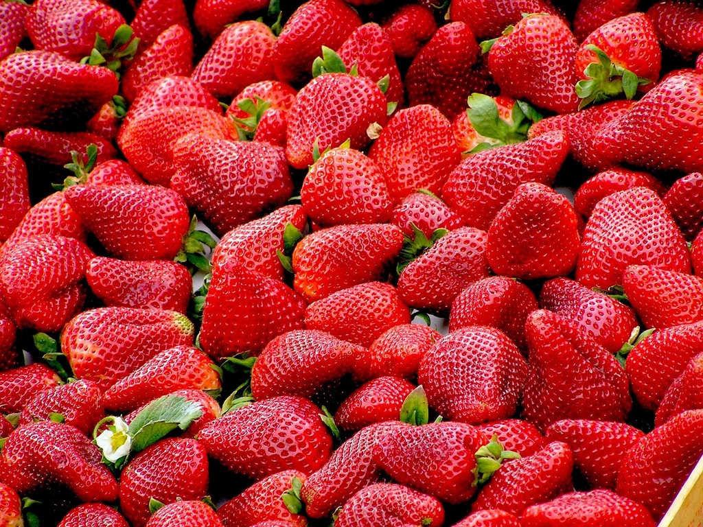 Arôme concentré : Fraise - 1ml