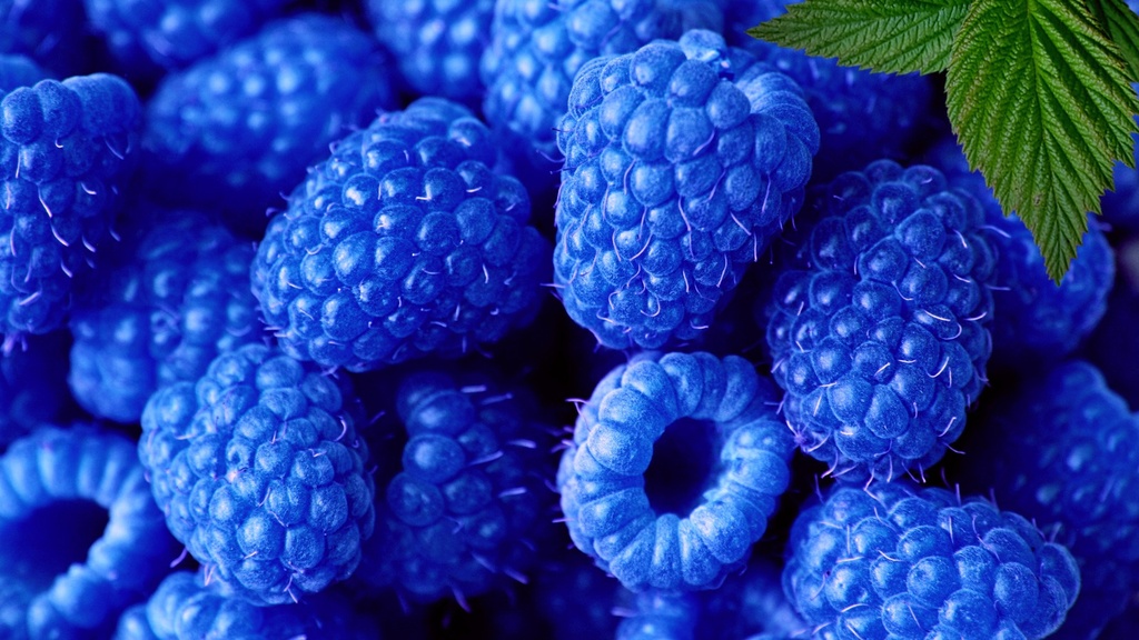 Arôme concentré : Framboise Bleue - 1ml
