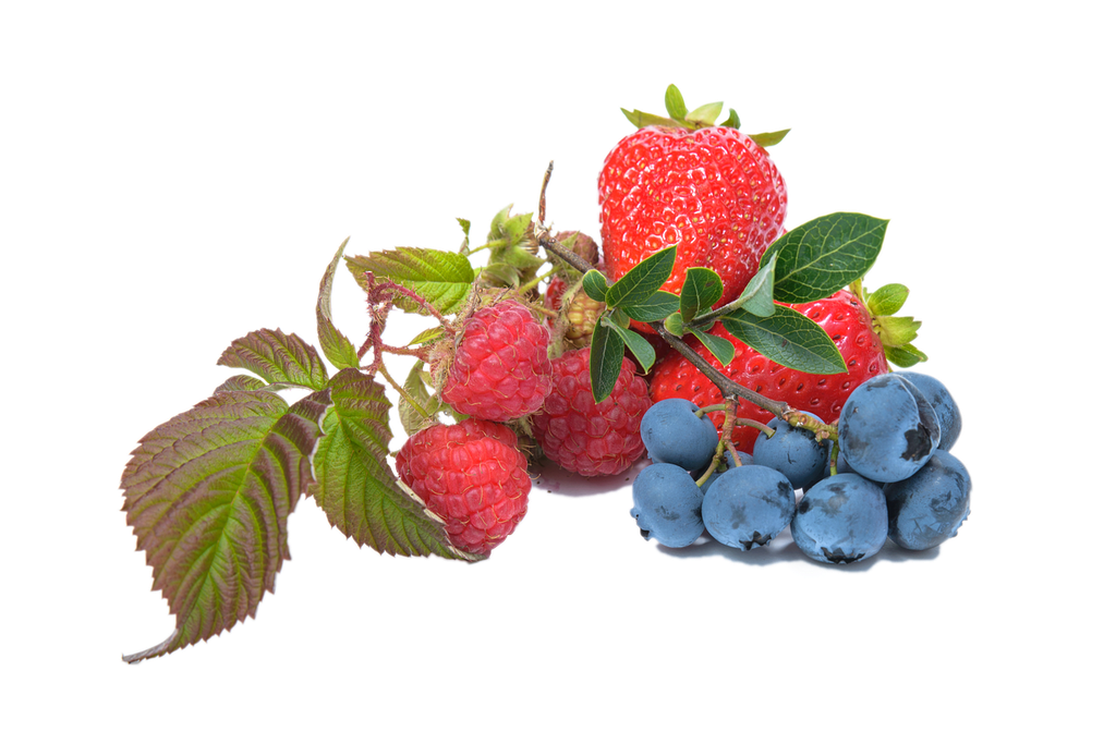Arôme concentré : Fruits rouges - 1ml