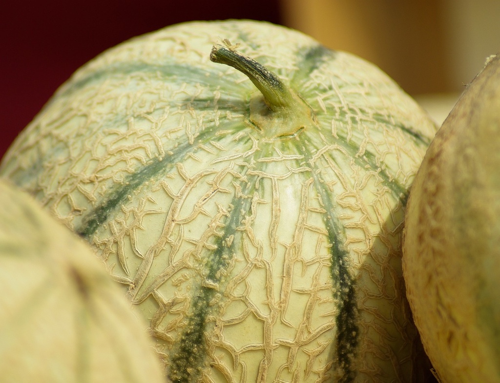 Arôme concentré : Melon - 1ml