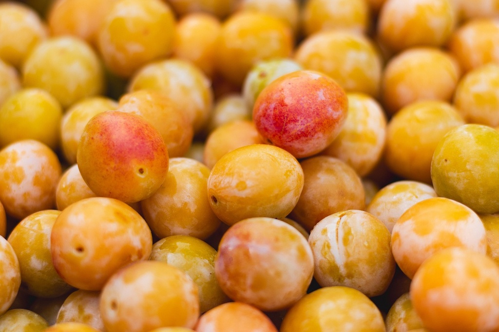 Arôme concentré : Mirabelle - 1ml