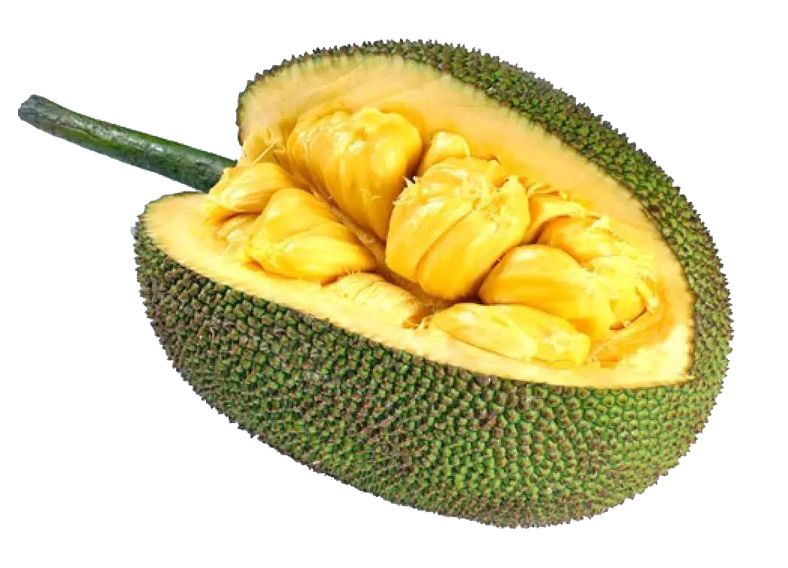 Arôme concentré : Fruit du jacquier - 1ml